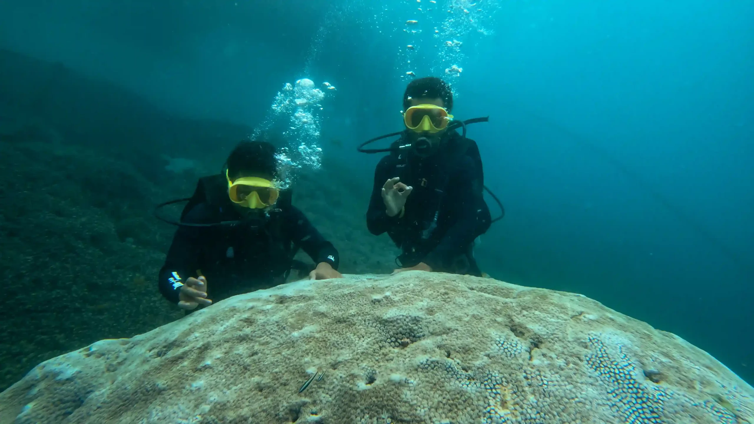 Dive-led leg around Bali's north and east coasts