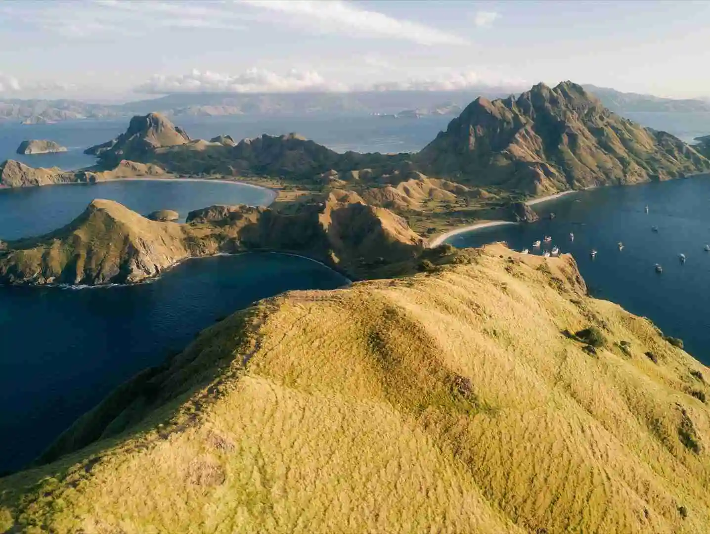 Phinisi and motor vessels at anchor off a Komodo island