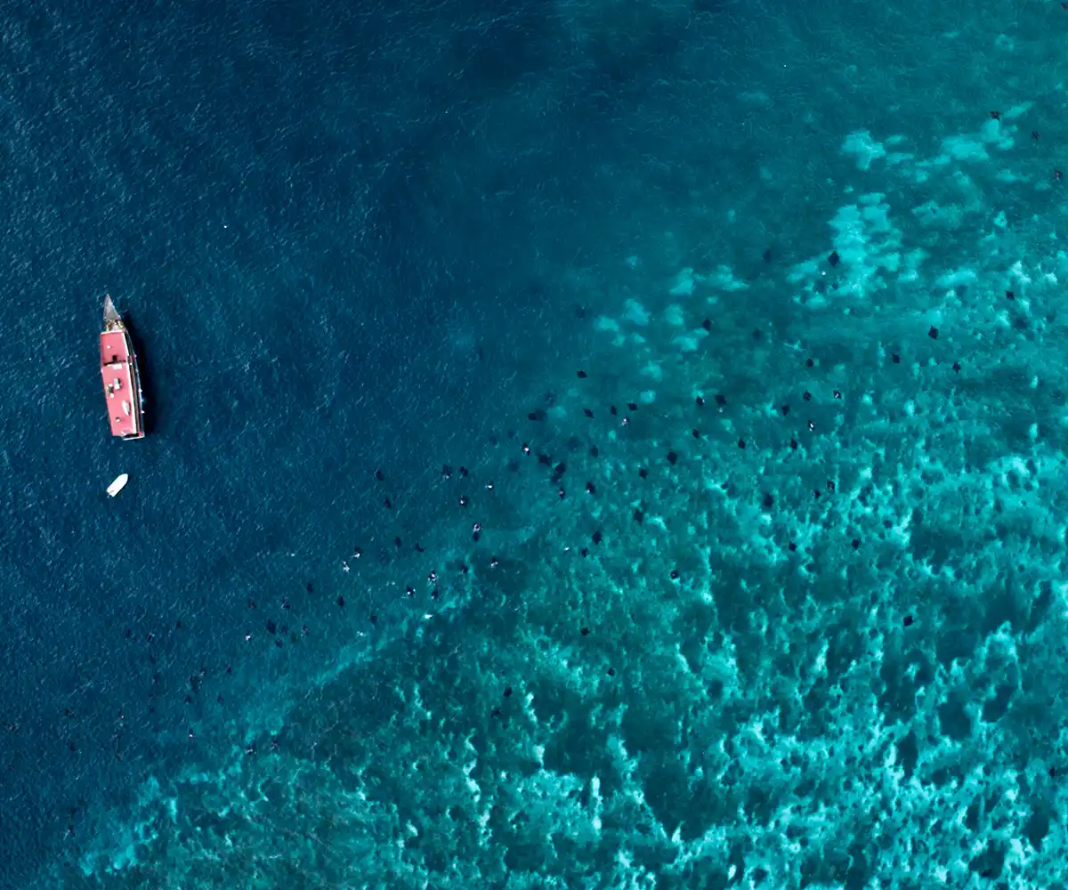 Marine park waters where entry fees and permits are checked